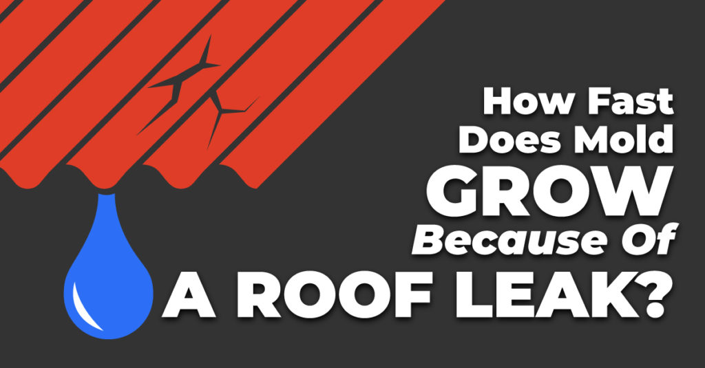 How Fast Does Mold Grow Because Of A Roof Leak?