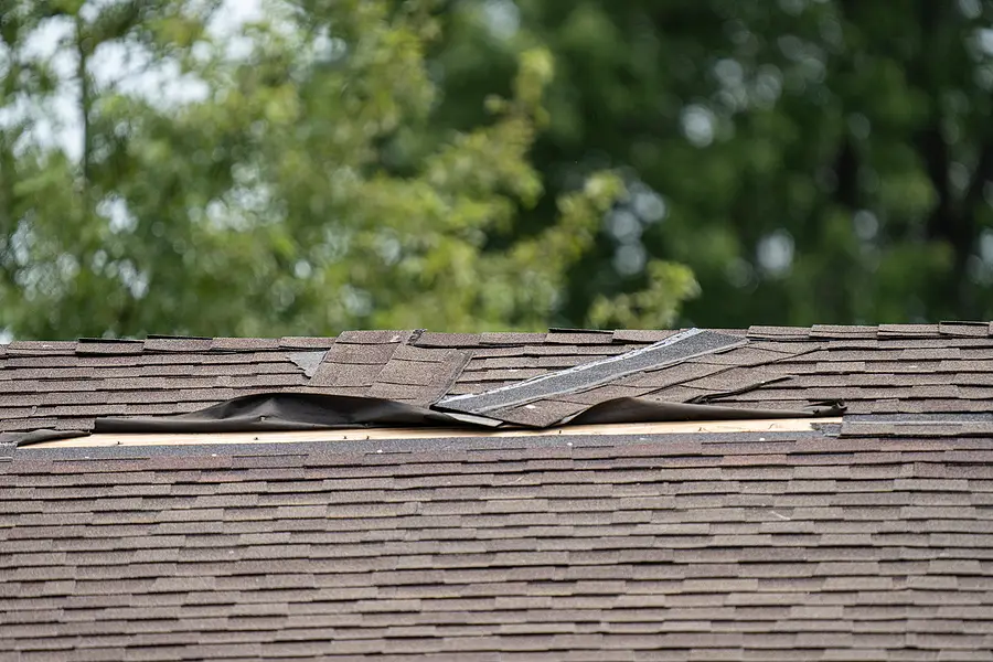 Damaged roof shingles on a roof in Anacortes, Washington.