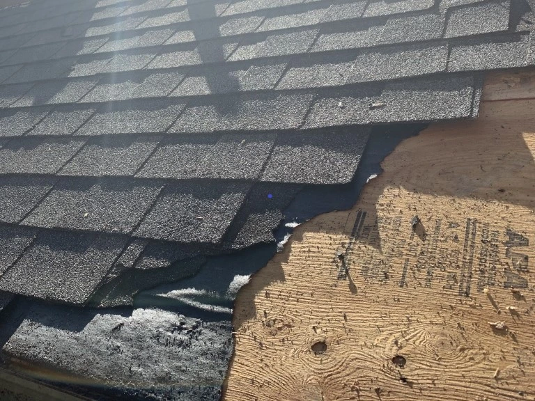 Damaged Section of Shingle Roof